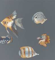 Обои Harlequin Anthozoa 111648